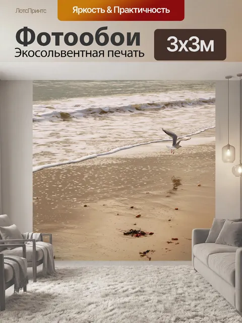 Фотообои Летающая чайка