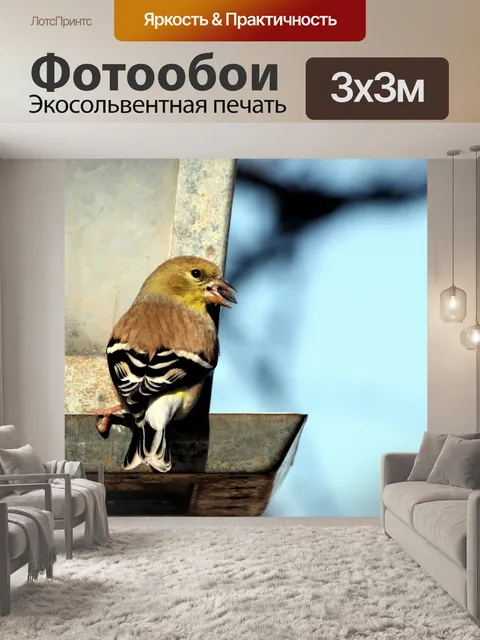 Фотообои Щегол на кормушке крупным планом