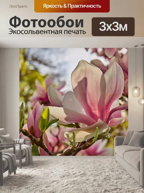 Фотообои Тюльпан магнолия