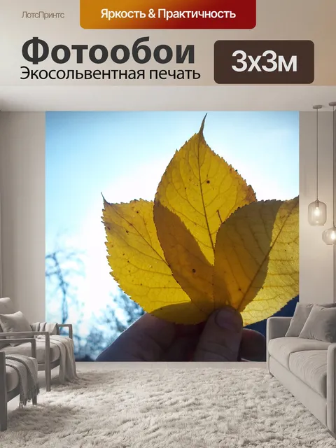 Фотообои Листок