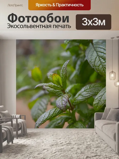Фотообои Свежая мята
