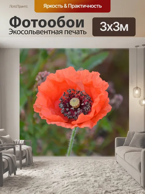 Фотообои Полевые цветы 13