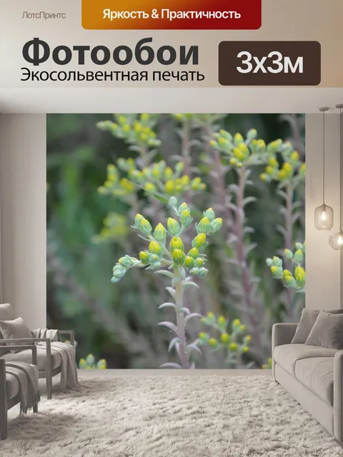 Фотообои Цветы