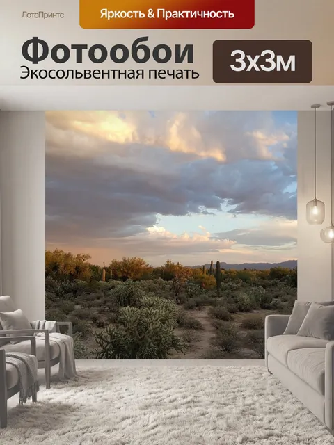 Фотообои Сагуаро