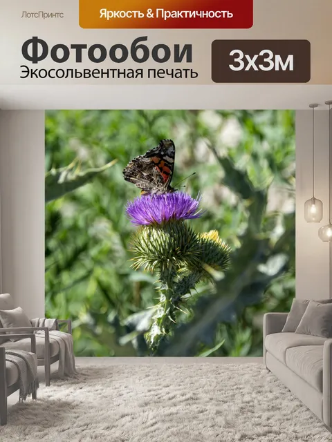 Фотообои Бабочка на кардоне цветет
