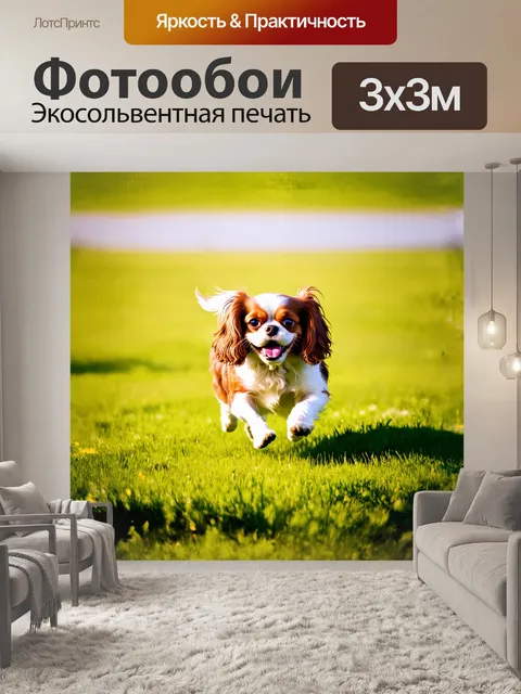 Фотообои собака, кавалер кинг чарльз спаниель, веселая, бегущая по зеленому лугу в солнечный день, с использованием…