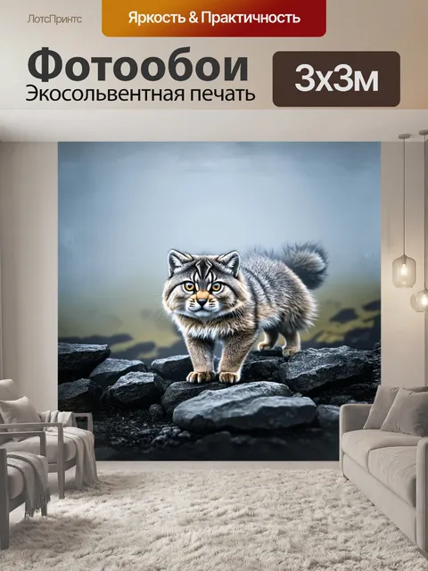 Фотообои зверь, величественный манул, плавно движется по скалистому пейзажу, окруженный густым туманом