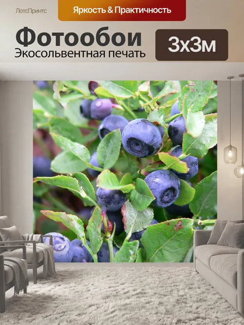 Фотообои Черника