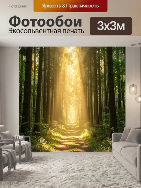 Фотообои Солнечная тропа в хвойном лесу