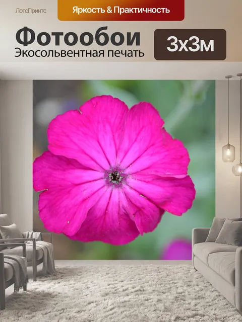Фотообои Розовый
