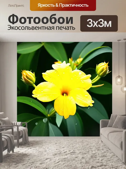 Фотообои пахистахис, ярко-желтый цветок с крупными бутонами, освещенный мягким рассеянным светом, на фоне зеленых…