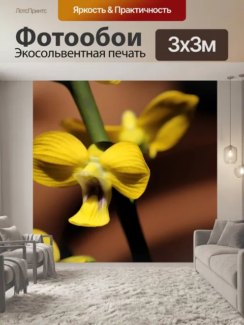Фотообои желтый цветок орхидеи