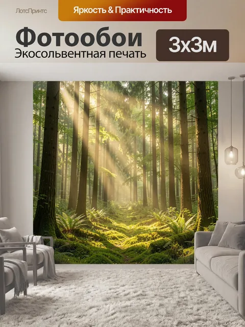 Фотообои Солнечные лучи в хвойном лесу