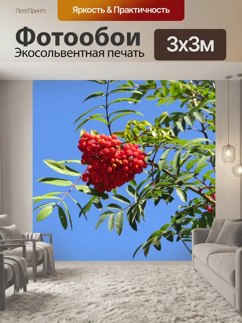 Фотообои Природа