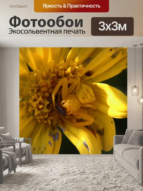 Фотообои желтый цветок крабовый паук с ошибкой