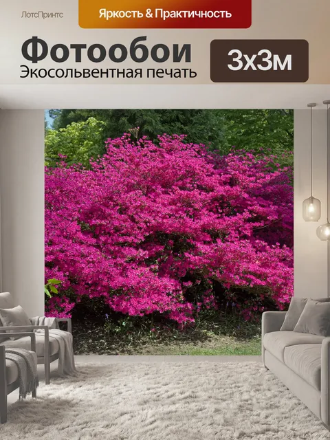 Фотообои Розовые цветы на кустах