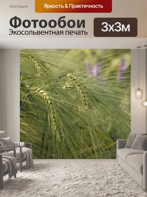 Фотообои Плоды поля ржаного ячменя