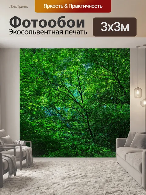 Фотообои зеленые деревья и густая подлеска, мягкий свет пробивается сквозь листву