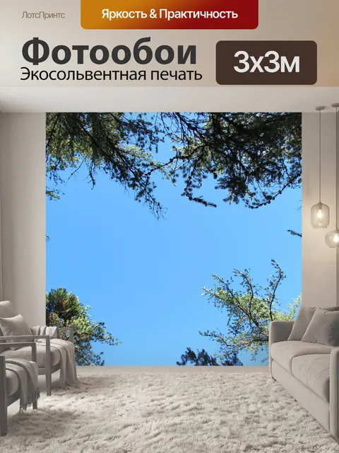 Фотообои Blue Sky Джек Сосновый бор деревья