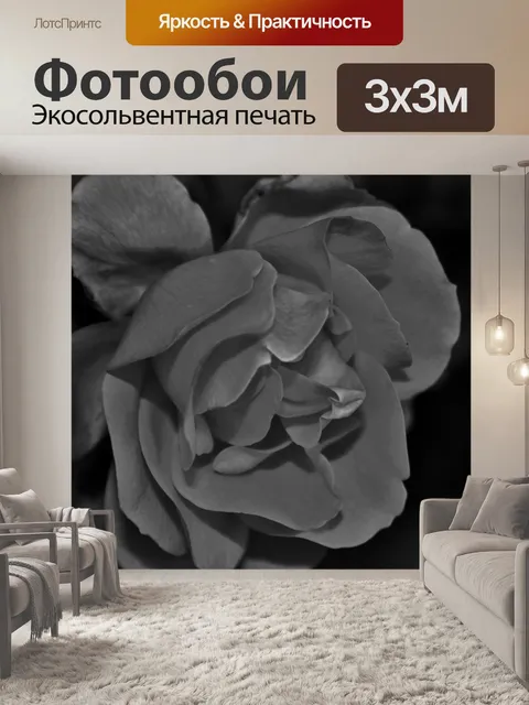 Фотообои Черной и белой розы