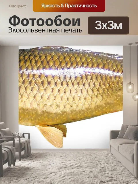 Фотообои Изолированный