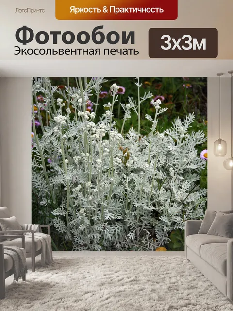 Фотообои Буш dune