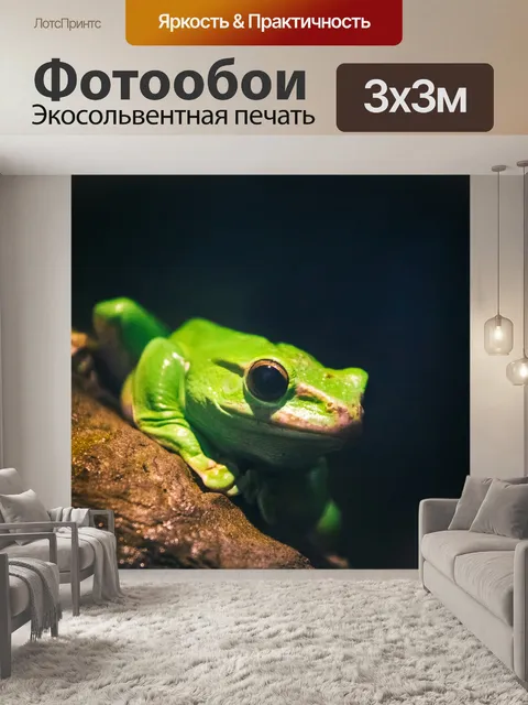 Фотообои Китайская летающая лягушка