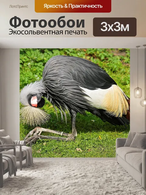 Фотообои Венценосный журавль