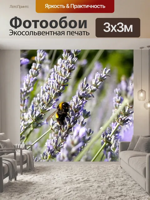 Фотообои Цветок лаванды
