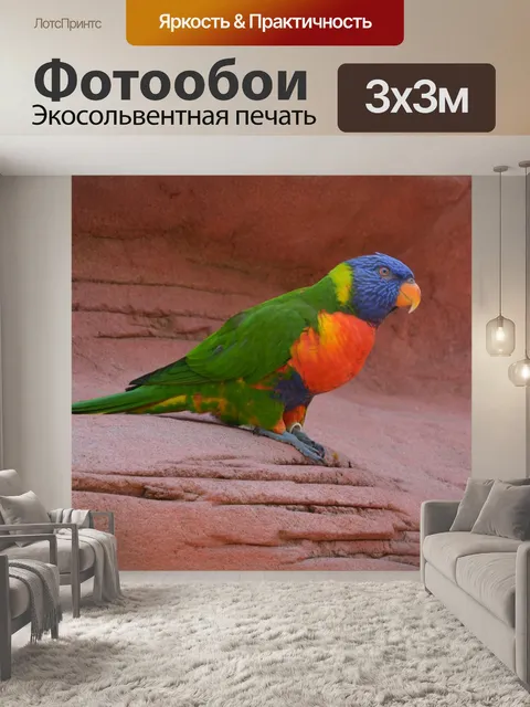 Фотообои Птица