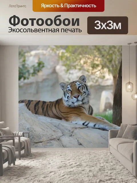 Фотообои Тигр