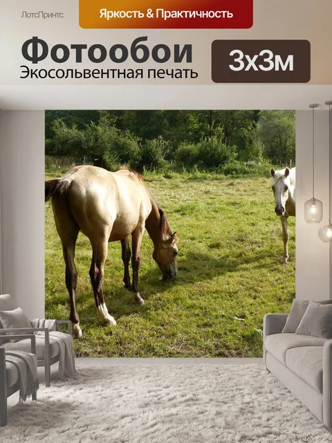 Фотообои Лошади