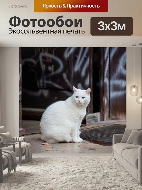 Фотообои Белый кот