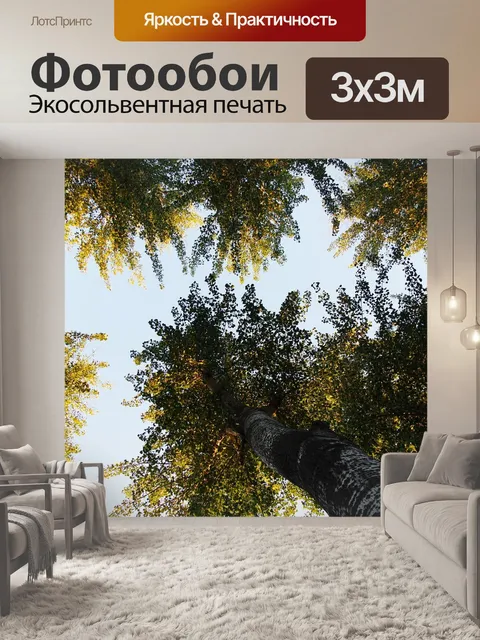 Фотообои Оттенок