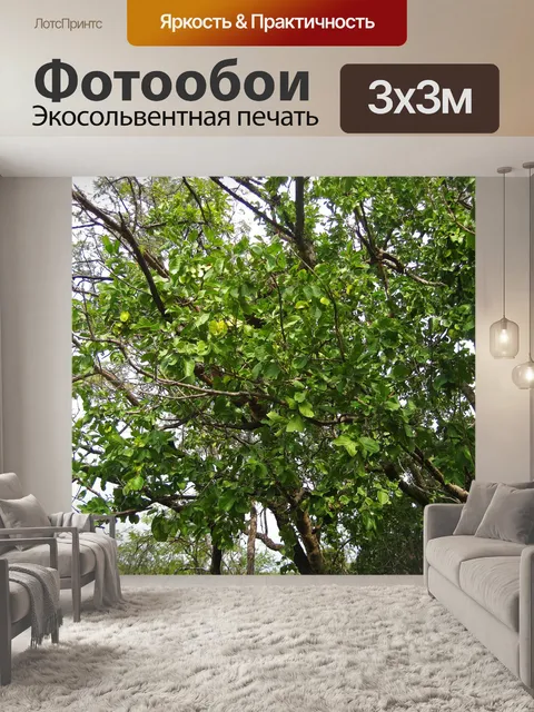 Фотообои зеленые листья на ветвях дерева