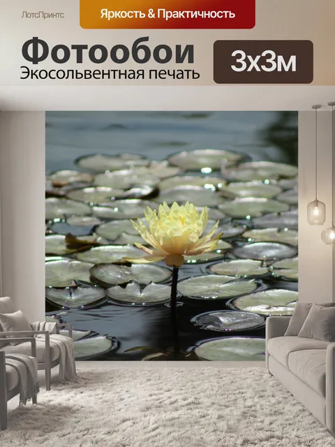 Фотообои Водяная лилия