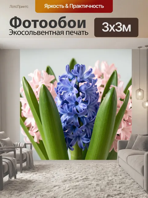 Фотообои Синие и розовые гиацинты
