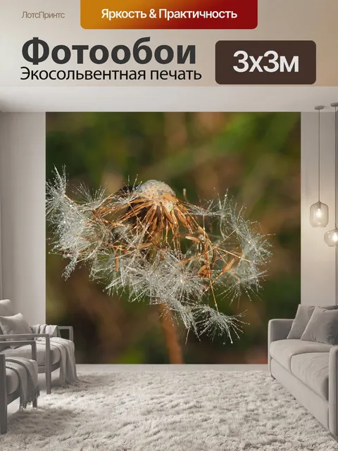 Фотообои Росистый