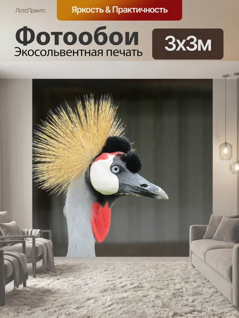 Фотообои Венценосный журавль
