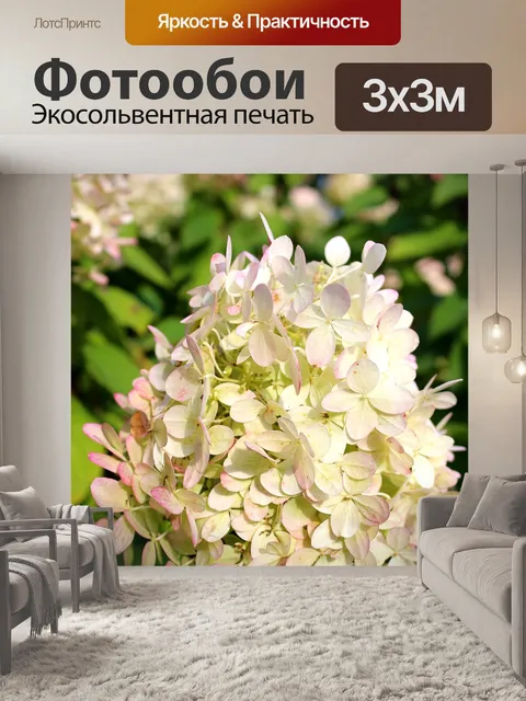 Фотообои Бело-розовые цветы