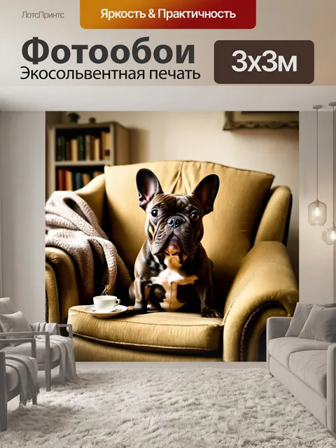 Фотообои французский бульдог уютно устроился на старинном кресле