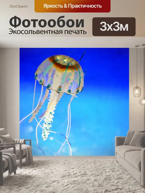 Фотообои Медуза