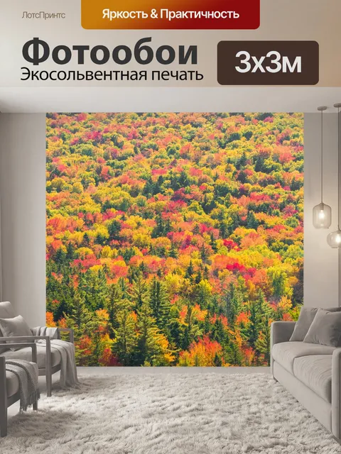 Фотообои Осенние деревья фон