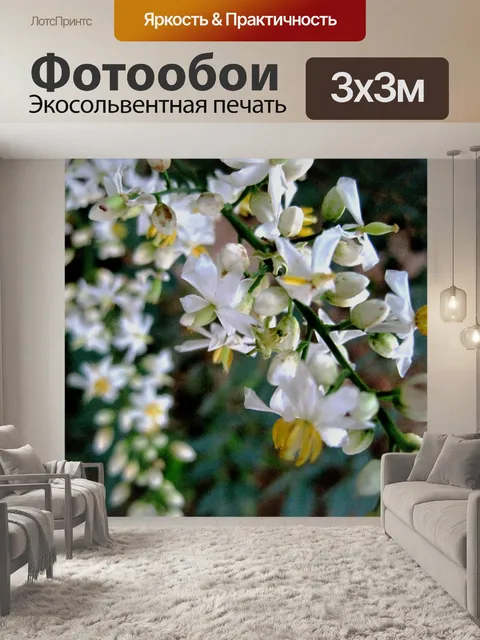 Фотообои святой бамбук цветок