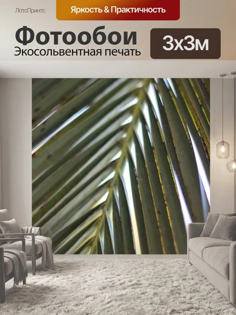 Фотообои Пальмовый лист