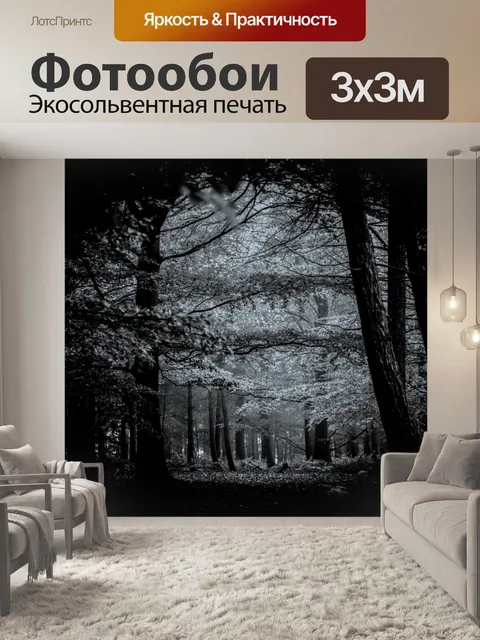 Фотообои Туманный лес