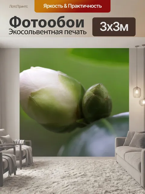 Фотообои Бутон