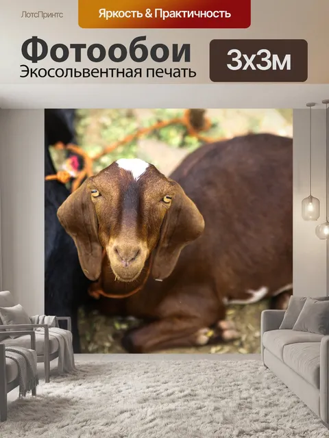 Фотообои Козел