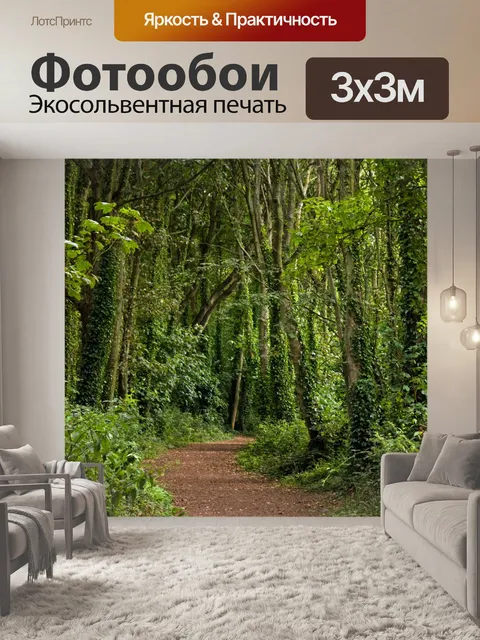 Фотообои Деревья Лесная тропа