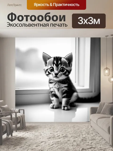 Фотообои на белоснежном фоне маленький котенок